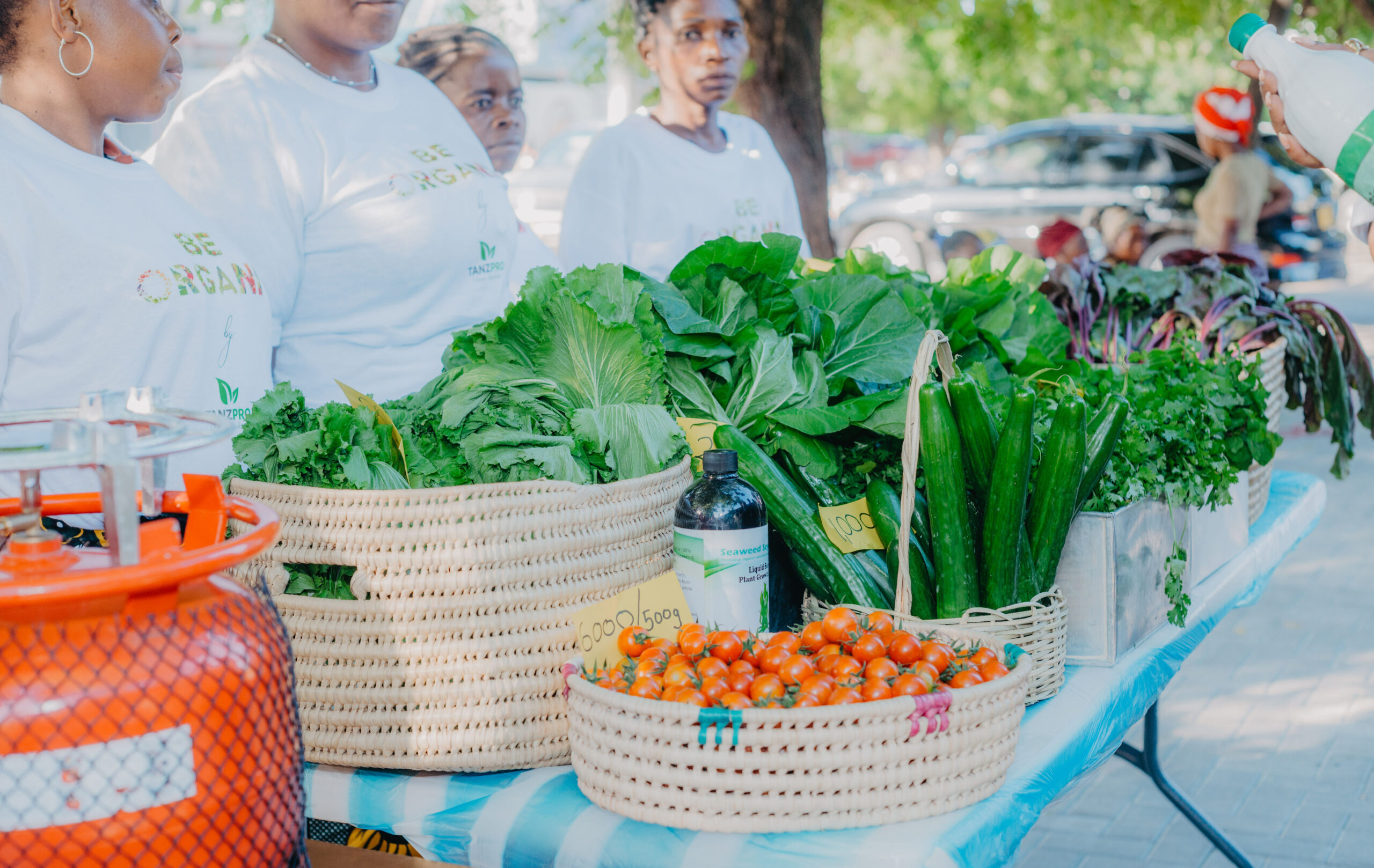 Be Organic Store Celebrates Grand Re-Opening in Dar es Salaam: A Milestone in Supporting Local Farmers